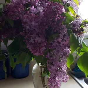 Meet your Posher, Marty